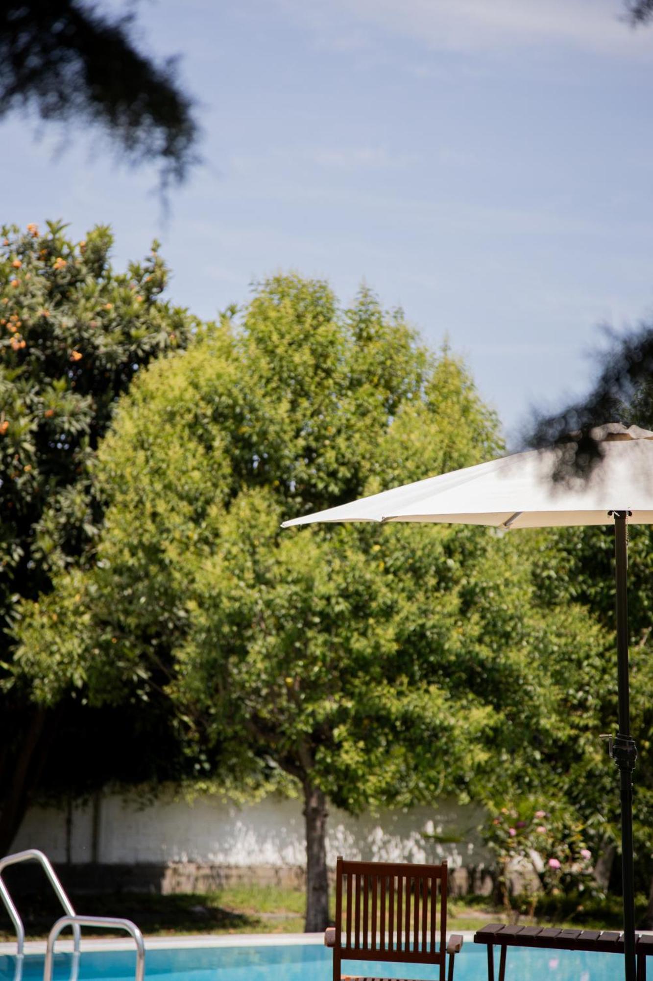 Zeusplace Poolvilla Natura Katerini Bagian luar foto